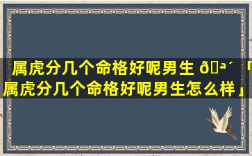 属虎分几个命格好呢男生 🪴 「属虎分几个命格好呢男生怎么样」